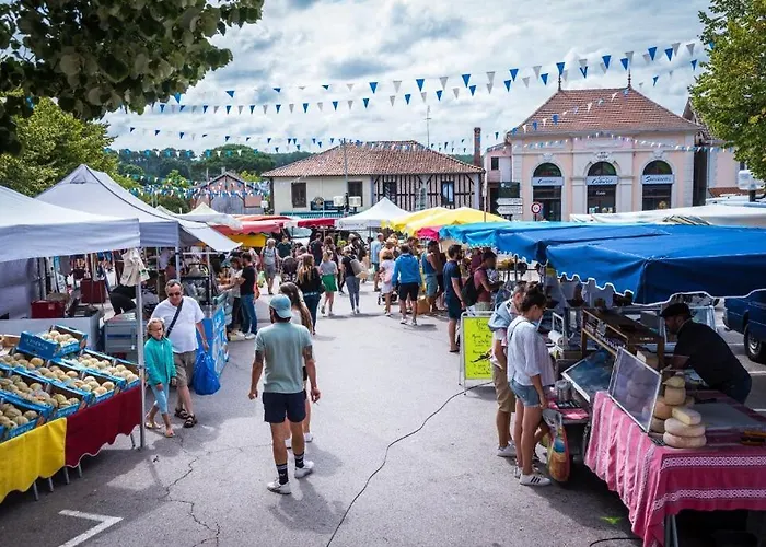 Maisonette Landaise 비엘-생-지롱