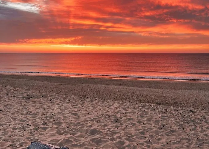 Maisonette Landaise 펜션